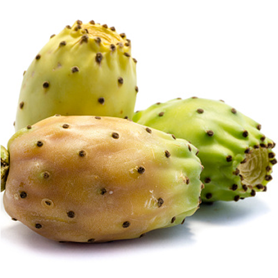 Prickly Pear Cactus